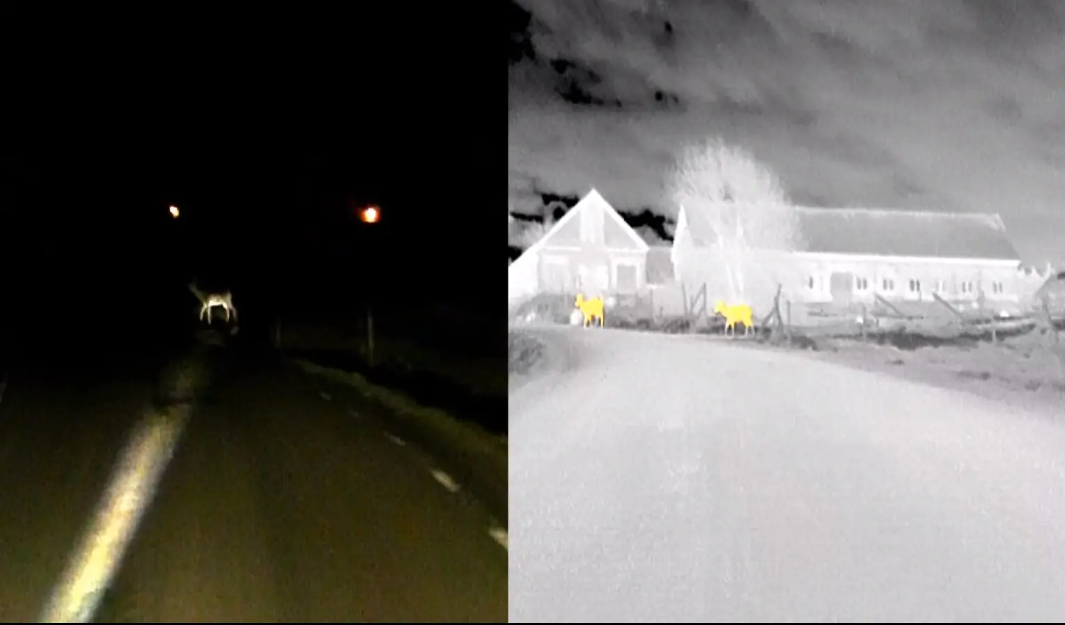 BMW dynamic Light Spot night vision system 